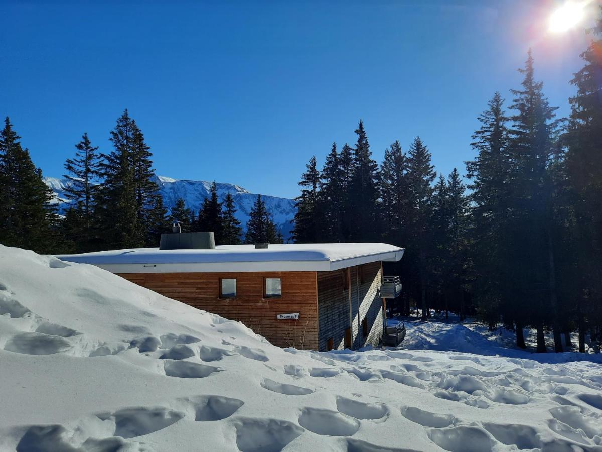 La Petite Foret Chamrousse 1700 Exteriör bild