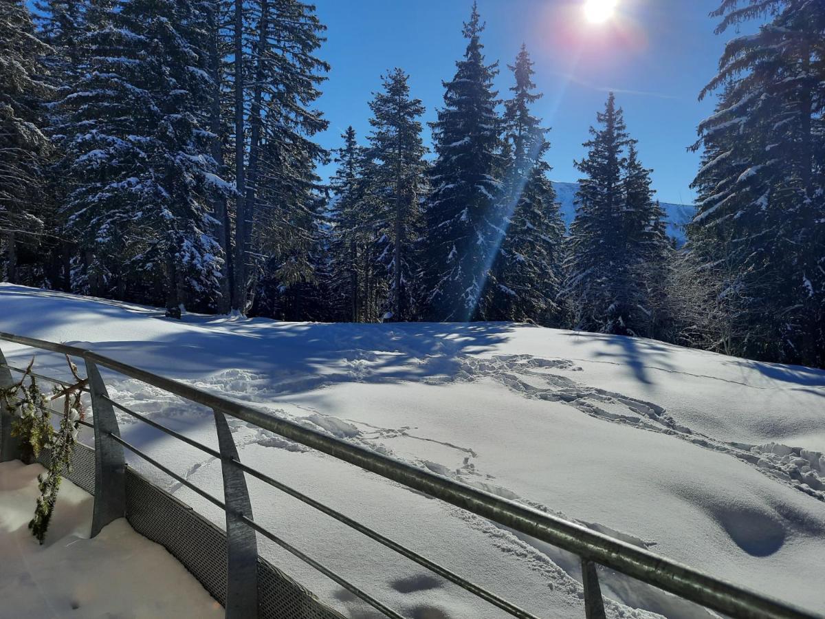 La Petite Foret Chamrousse 1700 Exteriör bild