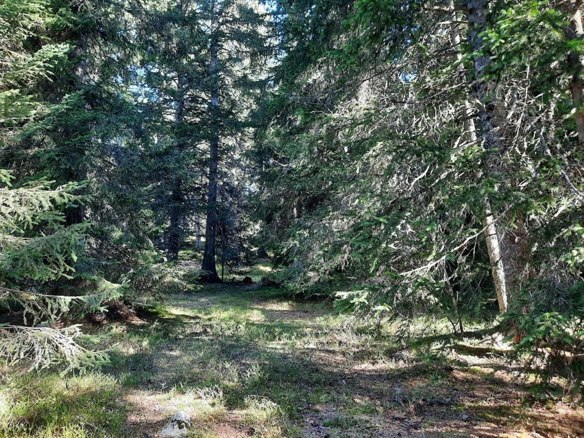 La Petite Foret Chamrousse 1700 Exteriör bild