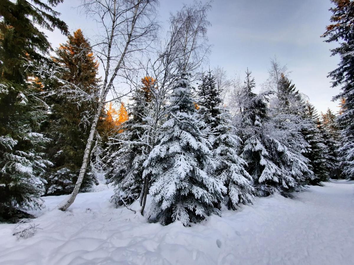 La Petite Foret Chamrousse 1700 Exteriör bild