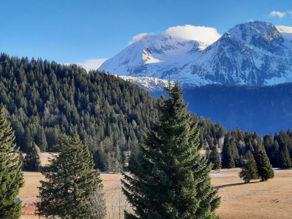 La Petite Foret Chamrousse 1700 Exteriör bild